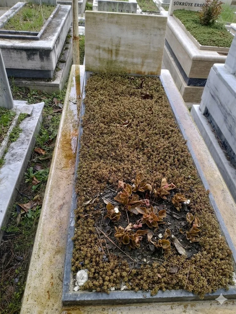 Pursaklar Mezar Bakım Bölgesinde Toprak Yenileme Rehberi